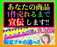 あなたの商品売れる➕ランキングアップまで宣伝します 最安価】1万円から販売⚫️見積もりしますのでDMください★★