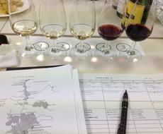 3ヶ月間完全独学で一発合格した方法をお伝えします ソムリエ ワインエキスパート試験受験者へ 資格取得の相談 ココナラ