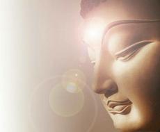 好評に付き 待ち受け金運護符先着5名様に添付します 待ち受け金運上昇護符です 単品で欲しいとの声が多い為 開運 厄払い ココナラ