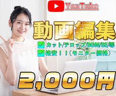 格安で動画編集承ります 実績作りのため格安価格にてご提供します
