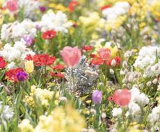 自分を変えたい人のためのカウンセリングを行います 心療内科医が心を込めてお返事させていただきます