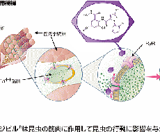 農家さん向けの肥料農薬に纏わるアドバイスを行います 肥料や農薬でお困りの方いませんか？