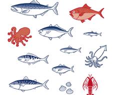 魚介類のイラスト描きます ご希望の用途に合わせて オリジナルで描きます イラスト作成 ココナラ