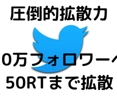 最安値！！50RTになるまで拡散いたします あなたのツイート、商品やサービスを拡散します。集客、宣伝に！