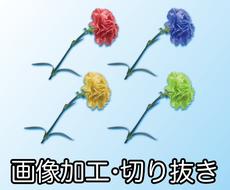 加工イラストが今すぐ依頼できるイラストレーター ココナラ 加工イラストが今すぐ依頼できるイラストレーター ココナラ