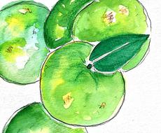 野菜 果物の水彩イラストを描きます 味のある手書きイラストを描きます 原稿を納入します イラスト作成 ココナラ
