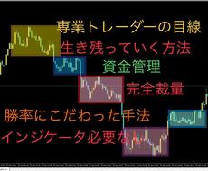 専業トレーダーがバイナリーの勝ち方を全て開示します 目線が変わります。全て教えます。確実に変われます。質問どうぞ