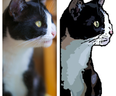 ペットの写真をイラスト調に加工します 犬 猫 他ペット大好きなな方にオススメ ペットのイラスト作成 ココナラ