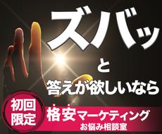初回限定 マーケティングお悩み相談室ご提供します ズバッと答えが欲しい方 現役マーケッター直接コンサルティング マーケティング 企画の相談 ココナラ