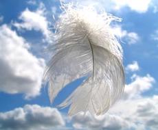 トークルームでなんでもお話を聞きします 心に溜まった言葉を表現して、心を軽くしませんか？