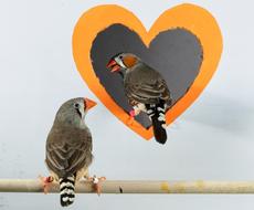 高齢出産、不妊治療のお金のお悩み、力になります 元保育士FPがお金の相談にのります(^^♪