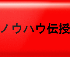 【国内】◆『オークション』を生業としている私が作成したノウハウをワンコインで提供します◆【ハウツー】