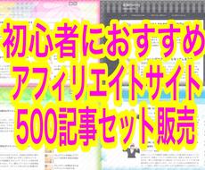 初心者OK『作成済アフィリエイトサイト』提供します 500記事も同時に付てくる！1記事10円の計算。まとめてお得