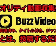BUZZVIDEOハイクオリティ動画収集代行します めんどうな作業すべてやります！