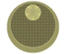 持続化給付金 税理士による事業収入の証明します 2020年創業の方も対象となりました！