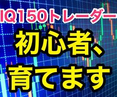 IQ150トレーダーの手法・全て暴露します 【販売開始セール中！】FX初心者が短時間で上達する最高プラン
