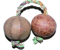 民族楽器アサラト パチカ のビデオ講座を行います マンツーマンの指導で丁寧 ネット通話なので好きな時間に 音楽 楽器レッスン ココナラ