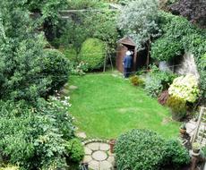 ガーデニングやお庭づくりに関するアドバイスをします プロのガーデンデザイナーが本気で相談にのります！