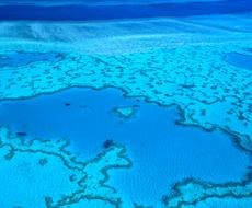 虐待 鬱病 恋愛などなど相談聞きます その他 悩み相談 カウンセリング ココナラ