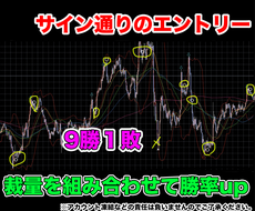 バイナリー傑作の商品全セットをこの価格で提供します 【4/15まで】45,000円相当がこの価格！バイナリー攻略