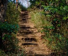 競争的資金申請書【科研費・学振・民間】添削します ★文章校正・リライト〜内容に関するアドバイスまで★