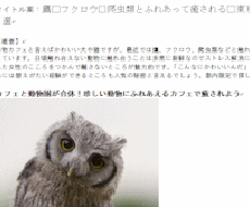 1000文字のウェブライター記事執筆いたします WEB文章ならおまかせください