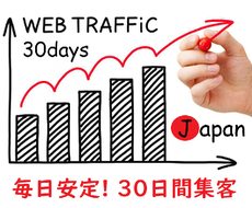 約30日！あなたのウェブサイトに本当の人集客します 日本のニッチクライアントを集客！毎日400～500人の訪問。