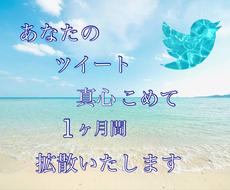毎日のTwitterのツイートを1ヶ月拡散します あなたのアカウントを輝かせるための最大限のサポートいたします