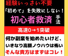 激安価格で初心者救済ノウハウ暴露します 「初めての副業」を失敗にさせない！一人で稼げる喜び提供します