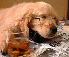 愛犬のしつけに悩んでいませんか？ イメージ1
