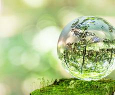 3ページ目 転職はいつが最適 どこに転職すると良い 人気占い師に相談 ココナラ