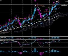 バイナリー順張り用システム『順張り王２』ざます 勝てない逆張り今すぐやめて！順張り王２で世界を変えるざます！