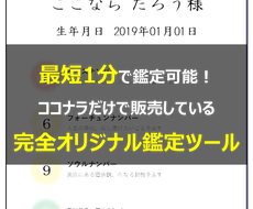 副業に最適★1分でできる最短占いツール販売します スキル不要！実績多数の占術ツールで副業を始めてみませんか？