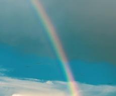 臨床心理士が2週間あなたをカウンセリングいしたます 2週間しっかりトークルームでカウンセリング行います❁❁