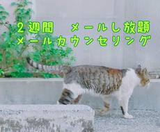 ２週間、何度でも自由にメール相談して頂けます 心理士資格のある精神障害経験者がピアカウンセリングします