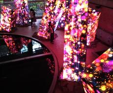 イベント企画の基本を伝授します バーベキューやキャンプ、打ち上げを企画したい方