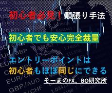 初心者でもわかる！？バイナリーオプションを教えます 初心者でも安心して覚えられる手法！　PDF解説付き