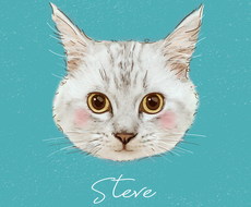 ペットのイラスト 似顔絵作成の依頼が1000円から ココナラ