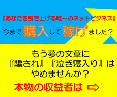 本当にネットで稼ぐ人間だけが知るビジネス伝えます 稼げない→探す→購入→稼げないの負の無限ループに終止符を。