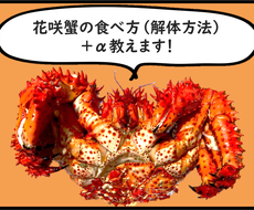 花咲蟹の食べ方 解体方法 を教えます 通算50杯以上食べてる私が画像付きで解説します 料理 レシピ お店の相談 ココナラ