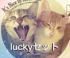 評価全てオール5★★★★★の教材となります FXｏｒバイナリー全4教材オールインワンパッケージ！