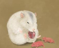 ハムスター ウサギなどの小動物描きます ニッチな動物が好きなあなたへ アイコンやスマホ待ち受けに キャラクター作成 ココナラ