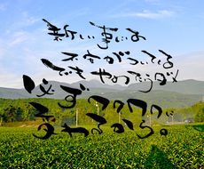 あなたの好きな言葉を筆文字で書きます 世界に一つの笑顔詩をあなたへ届けます 文字デザイン 筆文字 ココナラ