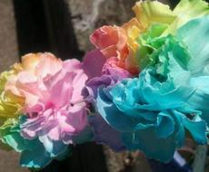 ヒーラーによる占いスピリチュアル霊視鑑定を致します 現況から行く末に暗雲が蠢く。希望を持ちたい方必見！