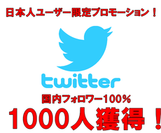 リアル日本人フォロワー＋１０００人集客します 貴方のファンとなるフォロワーを国内限定プロモーションで獲得！