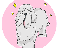 犬のイラストが今すぐ依頼できるイラストレーター ココナラ 犬のイラストが今すぐ依頼できるイラストレーター ココナラ