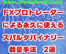 FXプロトレーダーが使うバイナリー手法を教えます 永久的に使える手法です。やる気ある人のみどうぞ。