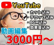 今だけ！格安でYouTube動画編集します 動画編集を外注したい方へ、ご要望に合わせて動画を作ります！