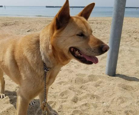 面白い商品名考えます しっくりくる商品名や企画名が 思いつかない貴方へ コピーライティング ココナラ