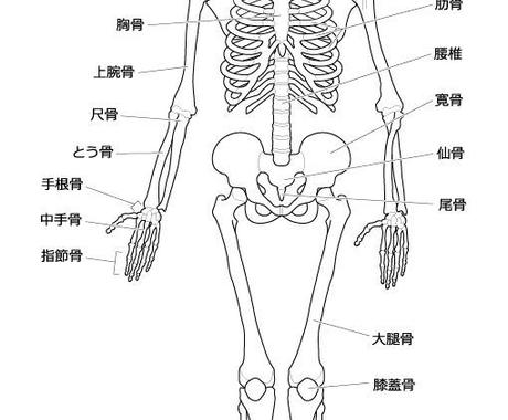 医療用イラスト作成いたします 無償医療イラストではご対応できないイラストを作成しませんか イラスト作成 ココナラ